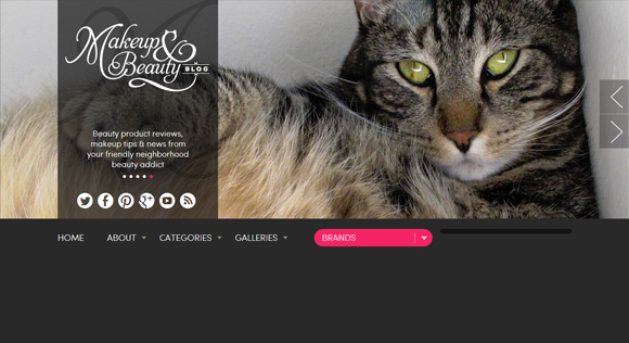 Makeup and Beauty Blog Website